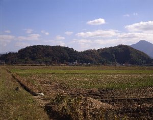 茶臼山古墳群
