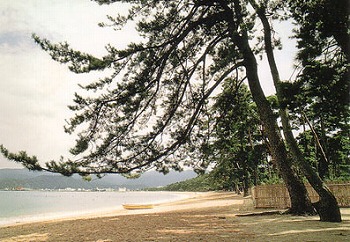 気比の松原