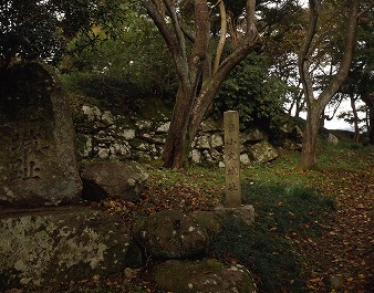 小丸城跡 (附 野々宮廃寺跡)