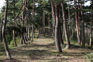 六呂瀬山古墳群