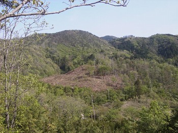 免鳥長山古墳